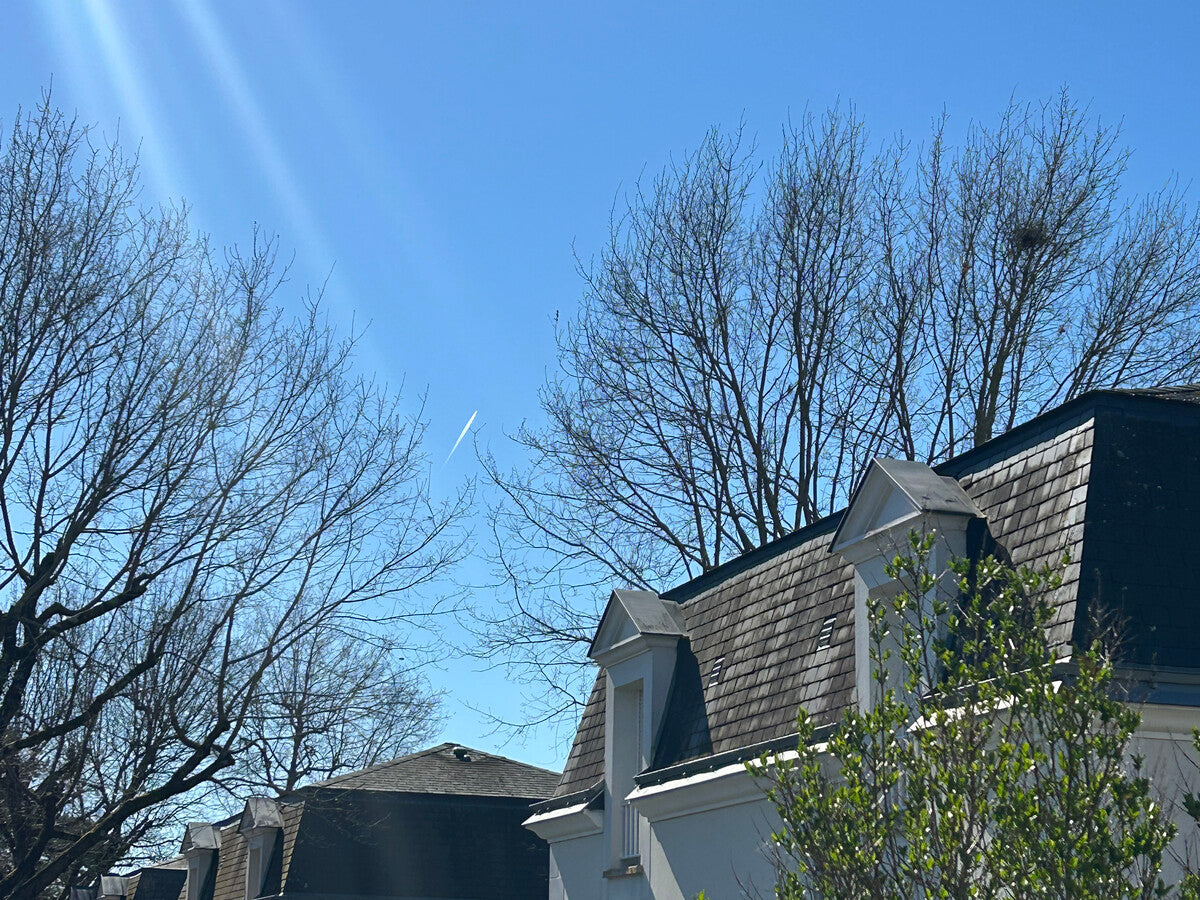 LA SABOTTERIE à SAINT-AVERTIN